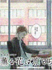 乐队的夏天 久久久精高分综艺